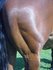 Vitality PowDer_8